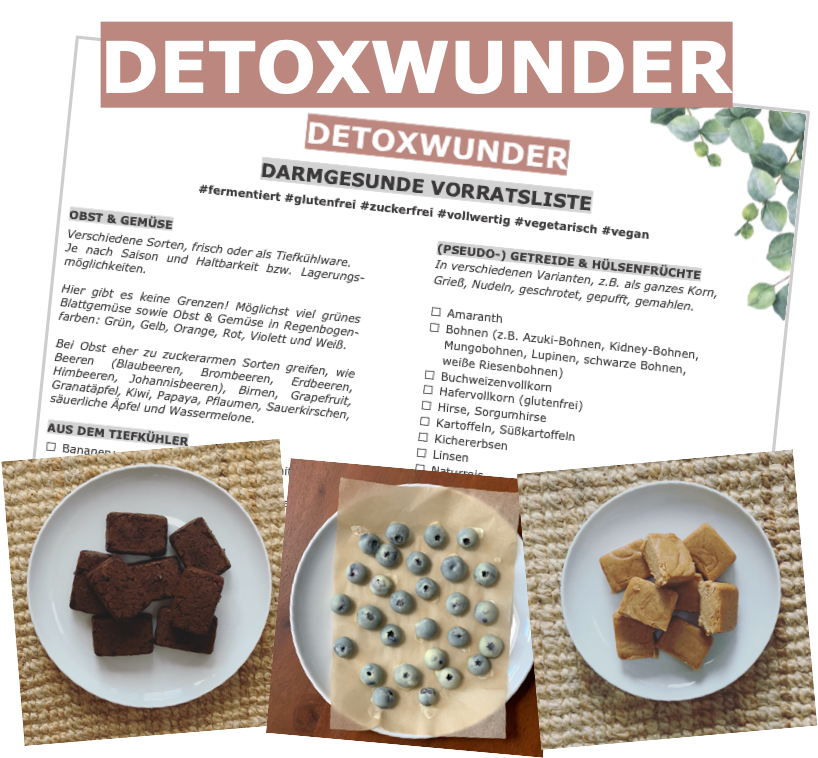 Darmgesunde Vorratsliste Snacks